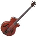 Basse Takamine B10