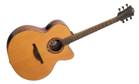 Guitare L?g tramontane 333 JCE